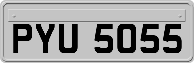 PYU5055