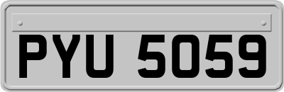 PYU5059