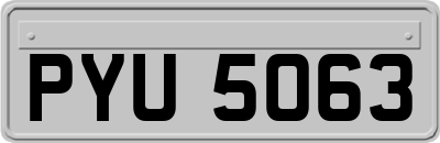 PYU5063