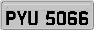 PYU5066