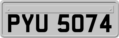 PYU5074