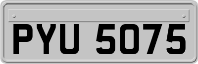 PYU5075