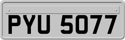 PYU5077