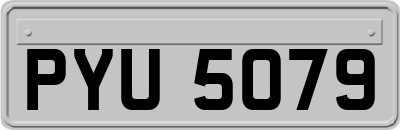 PYU5079