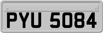 PYU5084