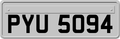 PYU5094