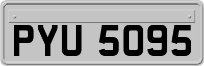 PYU5095