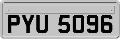 PYU5096