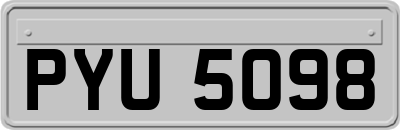 PYU5098