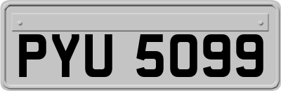 PYU5099