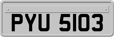 PYU5103