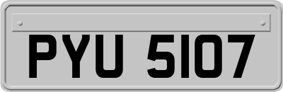 PYU5107