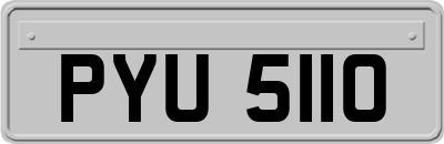 PYU5110