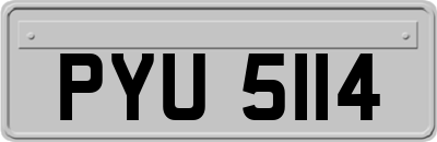 PYU5114