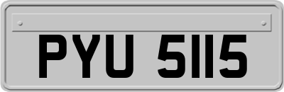 PYU5115