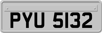 PYU5132