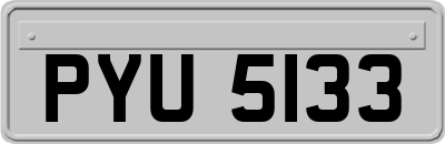 PYU5133