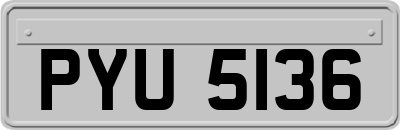 PYU5136