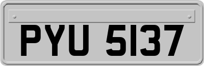 PYU5137