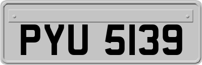 PYU5139