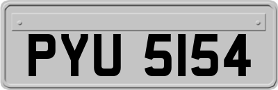 PYU5154