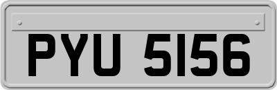 PYU5156