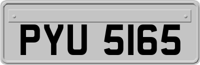 PYU5165