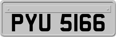 PYU5166