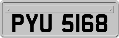 PYU5168