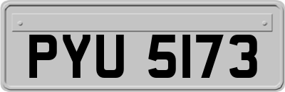 PYU5173