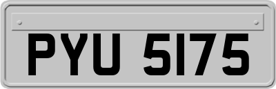 PYU5175