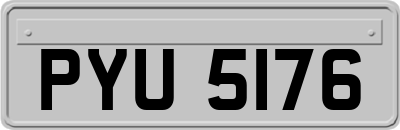 PYU5176