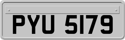 PYU5179