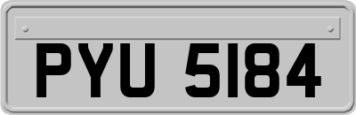 PYU5184