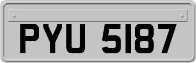 PYU5187