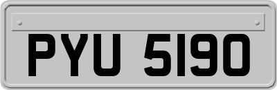 PYU5190