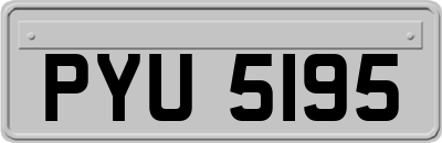 PYU5195