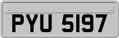 PYU5197