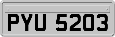 PYU5203