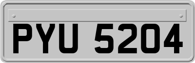 PYU5204