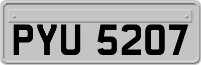 PYU5207