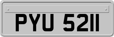 PYU5211