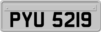 PYU5219