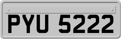 PYU5222