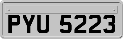 PYU5223