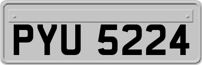 PYU5224