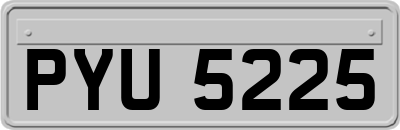 PYU5225