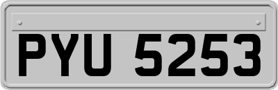 PYU5253