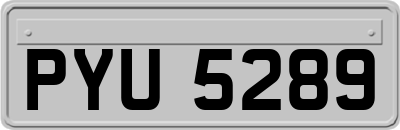 PYU5289