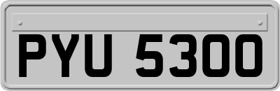 PYU5300